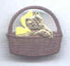 catbasket.jpg (12348 bytes)