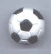 soccerball.jpg (7178 bytes)